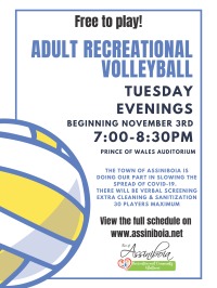 Adult Recreational Volleyball