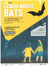Learn About Bats!