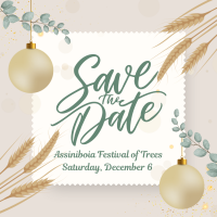 Assiniboia Festival of Trees 