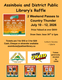 Library Fundraiser