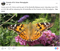 Butterfly Release